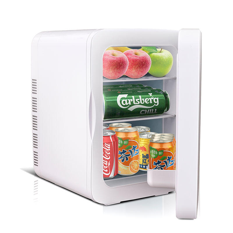 22L Dormitory Beauty and Skin Care Temperature Controlled Refrigerator